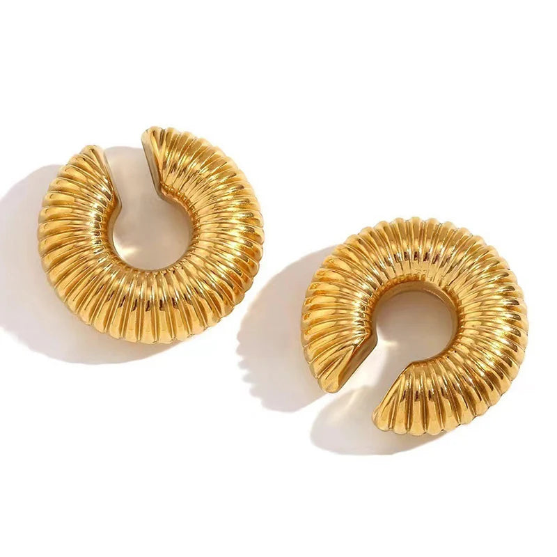 Chunky Hoop Earrings – Gold & Silver Statement Earrings